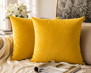 Cushion Cover